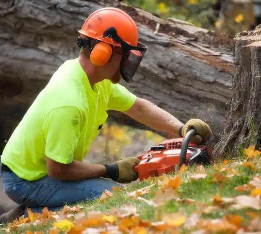 tree services Pinckney